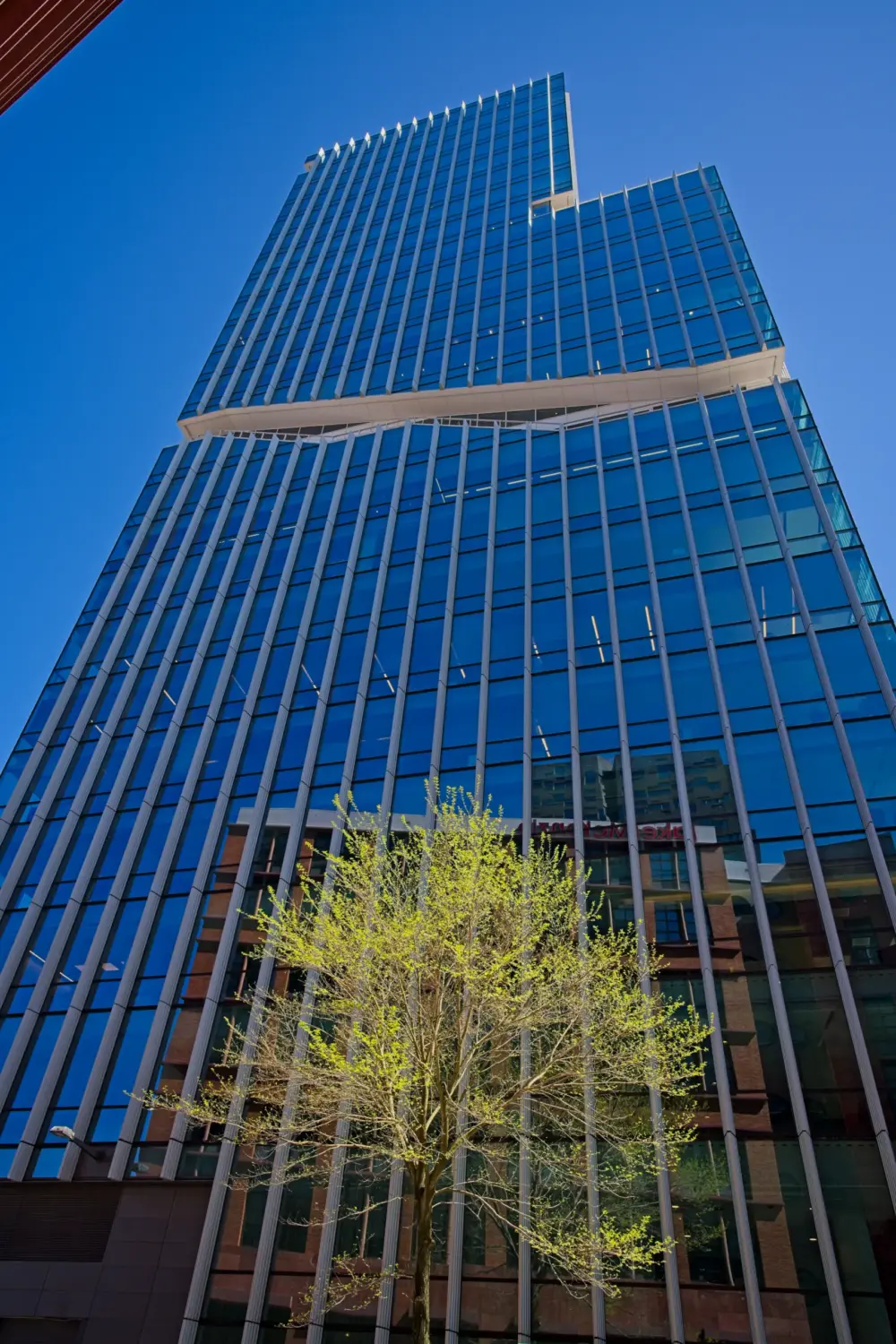 Vinoly Tower